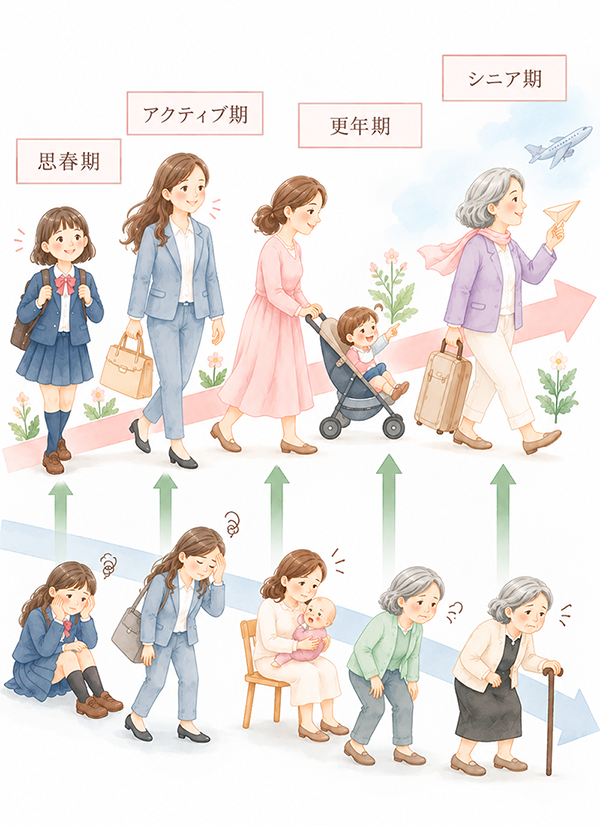 女性のライフステージ（思春期・アクティブ期・更年期・シニア期）
