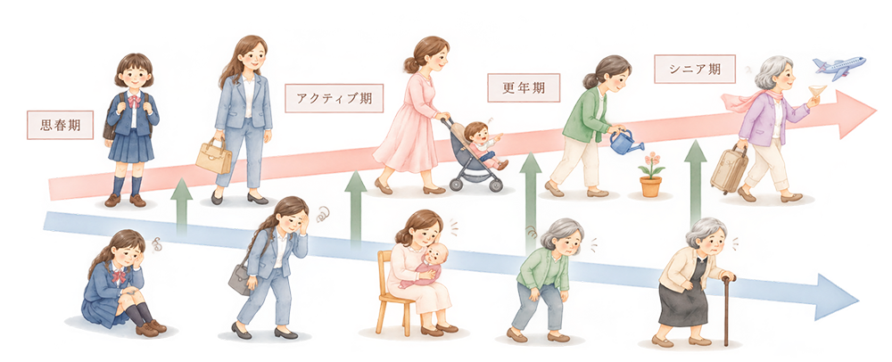 女性のライフステージ（思春期・アクティブ期・更年期・シニア期）