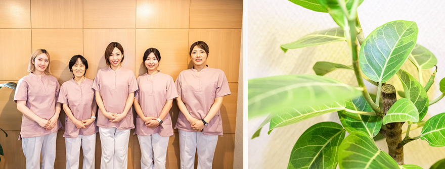 創設者,セラキュア鍼灸,土壌鍼灸,目黒,鍼灸院,妊活,婦人科系不調,腰痛,更年期